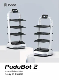 Flyer Pudu PuduBot 2 (EN)