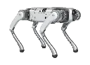 D5_5.webp