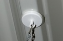 Ceiling Magnet with Hook