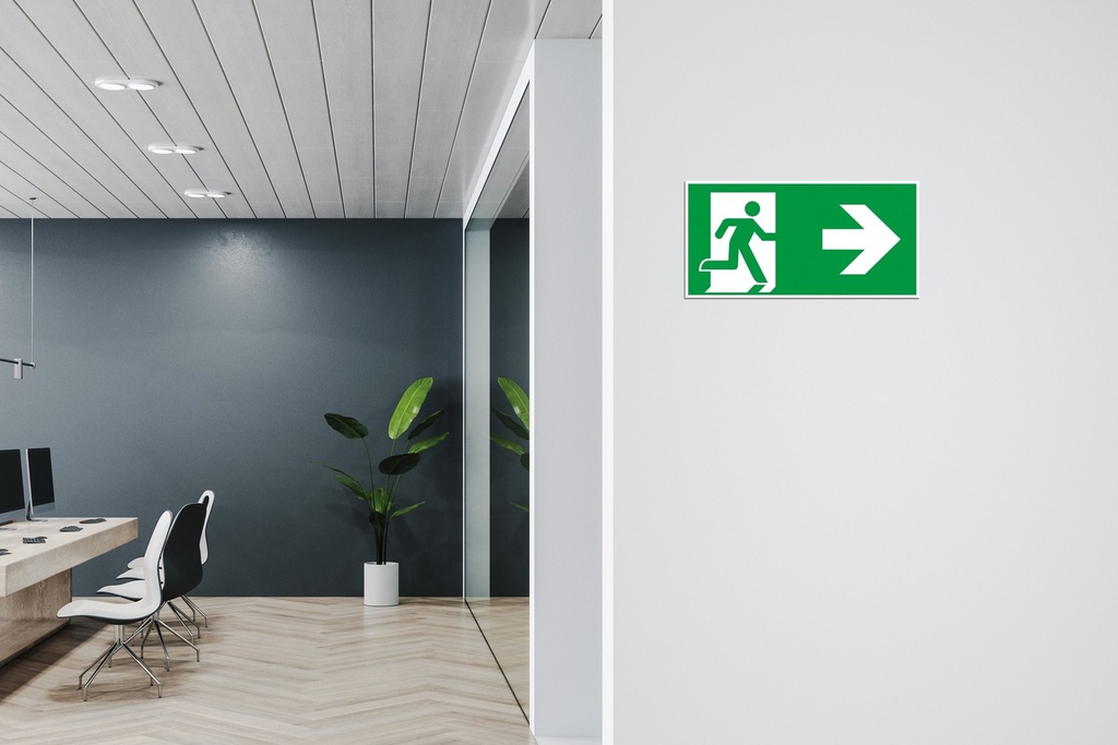 Photoluminescent Escape Signs