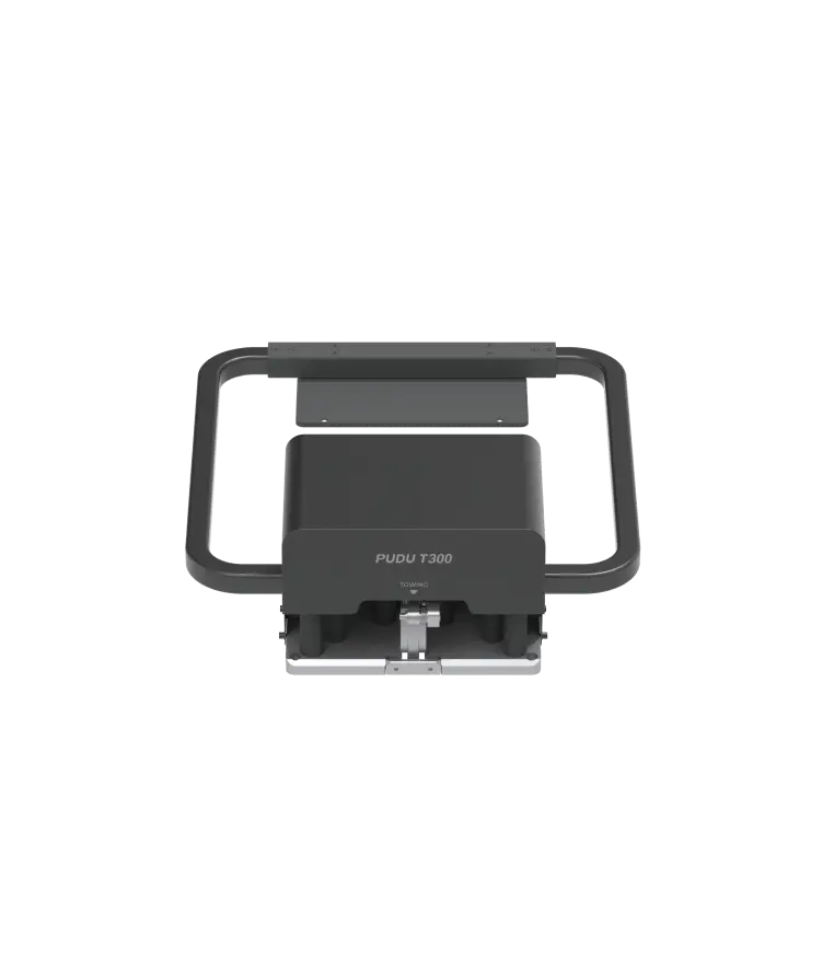 dipstrainot300.webp
